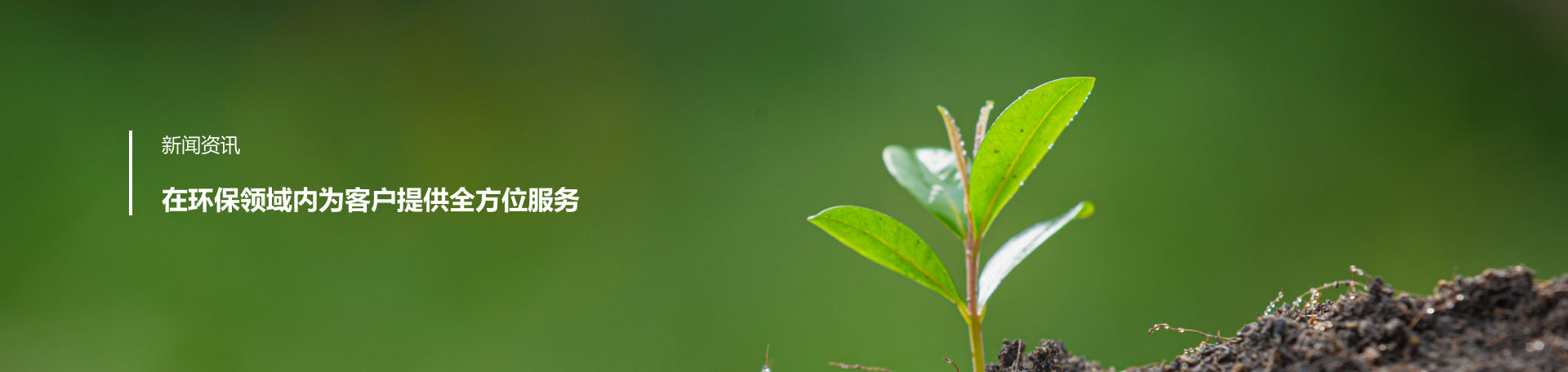 新聞動(dòng)態(tài)